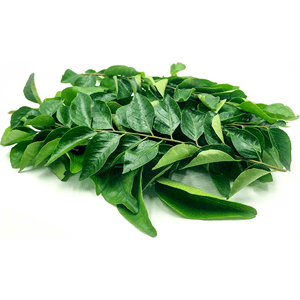 fresh curry leaves for cooking