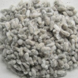 1kg Paruthi vidhai (Cotton Seeds)